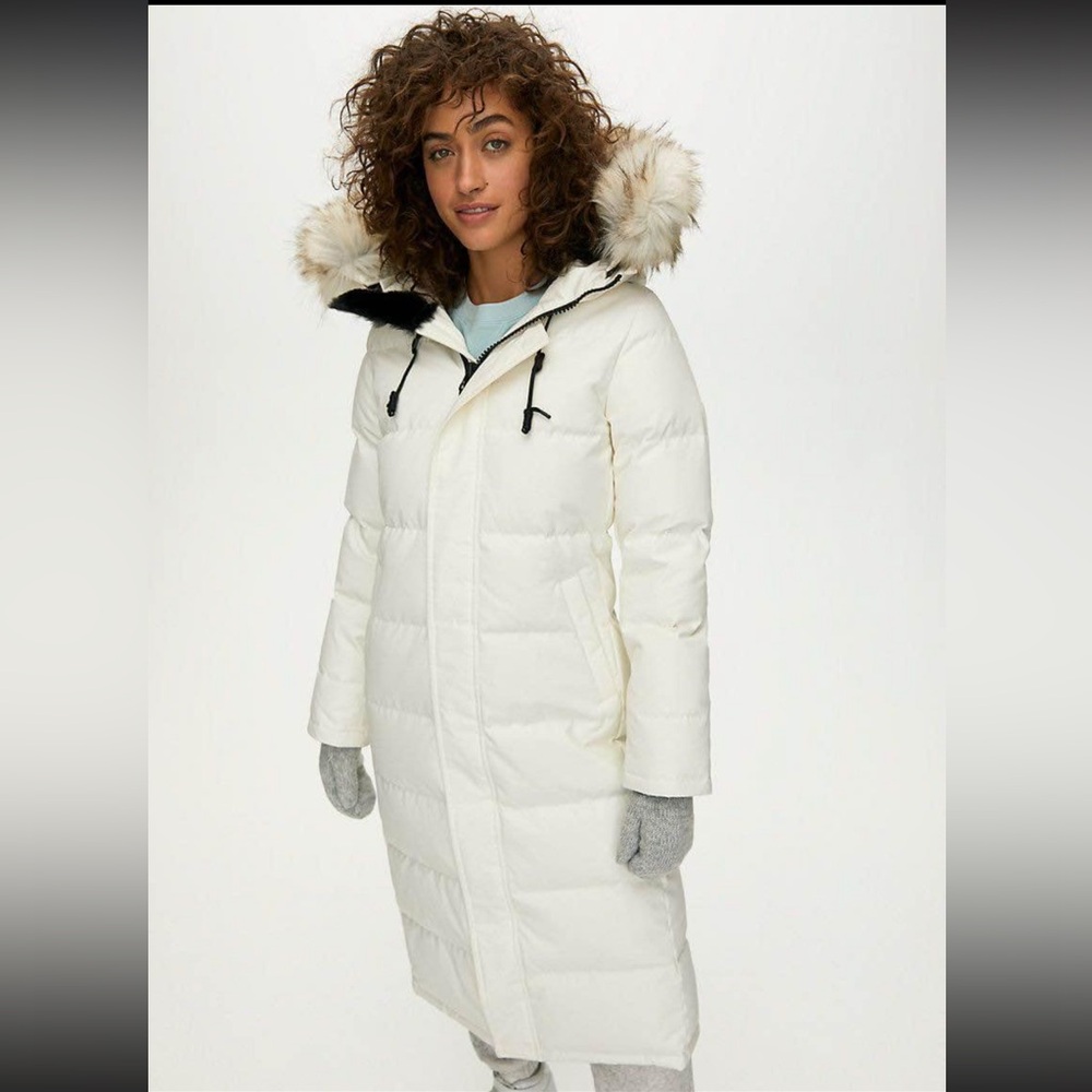 Aritzia Climatelab Parka